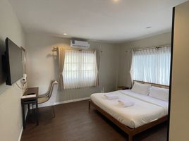 1 Schlafzimmer Wohnung zu vermieten im RoomQuest The Peak Patong Hill , Patong, Kathu, Phuket