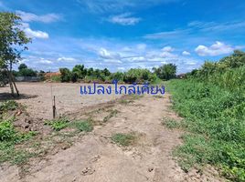  Land for sale in Pathum Thani, Bang Duea, Mueang Pathum Thani, Pathum Thani
