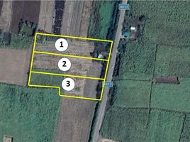  Land for sale in Chaiyaphum, Kut Yom, Phu Khiao, Chaiyaphum