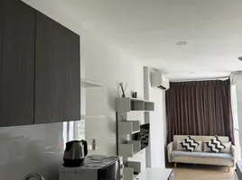 Studio Wohnung zu vermieten im Ozone Condotel, Karon