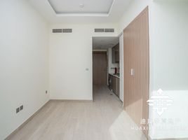 Studio Apartment for sale at AZIZI Riviera 13, Azizi Riviera