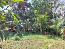  Land for sale in Pococi, Limon, Pococi