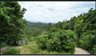 ขายที่ดิน N/A ใน ลิปะน้อย, สุราษฎร์ธานี 