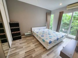 2 Bedroom Condo for rent at Serene Lake North 1, Mae Hia, Mueang Chiang Mai, Chiang Mai