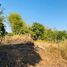  Land for sale in Ban Thon, Sawang Daen Din, Ban Thon