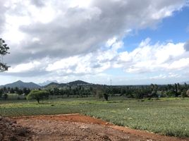  Grundstück zu verkaufen in Pran Buri, Prachuap Khiri Khan, Wang Phong, Pran Buri