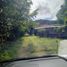  Land for sale in Thalang, Phuket, Pa Khlok