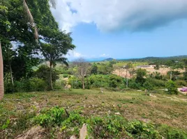  Land for sale in Maenam Beach, Maenam, Maenam