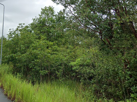  Land for sale in Mai Rut, Khlong Yai, Mai Rut