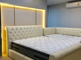 7 спален Таунхаус for rent in MRT Station, Нонтабури, Bang Talat, Pak Kret, Нонтабури