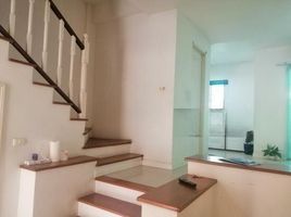 3 Schlafzimmer Reihenhaus zu vermieten im Plus Citypark Kaset-Ngam Wong Wan, Thung Song Hong