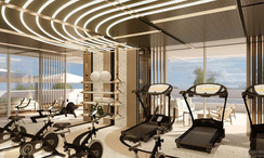 图片 3 of the Communal Gym at The Ritz-Carlton Residences