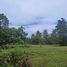  Land for sale in Sam Roi Yot, Prachuap Khiri Khan, Sam Roi Yot, Sam Roi Yot