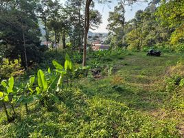  Land for sale in Kamala, Phuket, Kamala, Kathu, Phuket