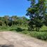 ขายที่ดิน ใน ถลาง ภูเก็ต, ไม้ขาว, ถลาง, ภูเก็ต