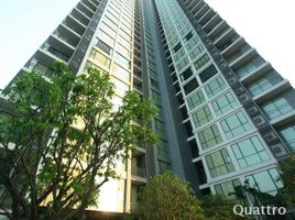 1 Bedroom Condo for rent at Quattro By Sansiri, Khlong Tan Nuea, Watthana