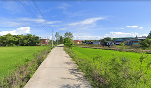 Земельный участок, N/A на продажу в Lat Nga, Phra Nakhon Si Ayutthaya 
