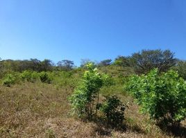  Land for sale in Guanacaste, Santa Cruz, Guanacaste