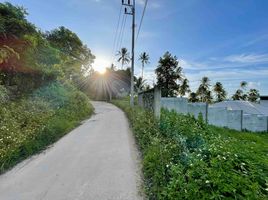  Grundstück zu verkaufen in Koh Samui, Surat Thani, Maenam