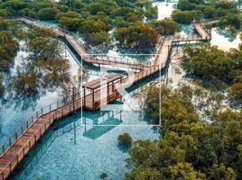 4 Schlafzimmer Villa zu verkaufen im Al Jubail Island, Saadiyat Beach