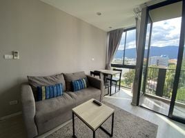 1 Bedroom Apartment for rent at Palm Springs Nimman (Parlor), Suthep