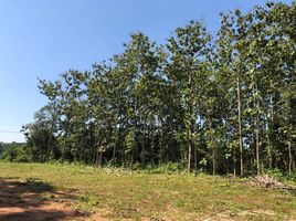  Land for sale in Thailand, Pha Sing, Mueang Nan, Nan, Thailand