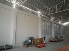 Studio Warehouse for rent in Samut Prakan, Bang Chalong, Bang Phli, Samut Prakan
