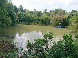  Grundstück zu verkaufen in Khlung, Chanthaburi, Wang Sappharot, Khlung