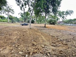  Land for sale in Chon Buri, Huai Yai, Pattaya, Chon Buri