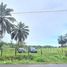  Land for sale in Sarapiqui Heredia, Sarapiqui