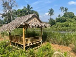  Grundstück zu verkaufen in Koh Samui, Surat Thani, Na Mueang, Koh Samui