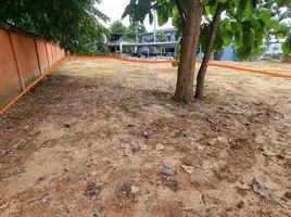  Land for sale in Chiang Mai, Nong Chom, San Sai, Chiang Mai