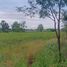  Land for sale in Phichit, Sak Lek, Sak Lek, Phichit