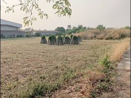  Land for sale in Nakhon Ratchasima, Nong Bua Sala, Mueang Nakhon Ratchasima, Nakhon Ratchasima