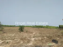  Grundstück zu verkaufen in Pegu, Bago, Bago Pegu, Pegu