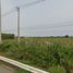  Land for sale in Rim Kok, Chiang Rai, Rim Kok
