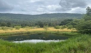 N/A Grundstück zu verkaufen in Chao Thong, Chaiyaphum 