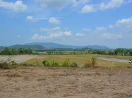  Grundstück zu verkaufen in Mae Chan, Chiang Rai, Tha Khao Plueak, Mae Chan
