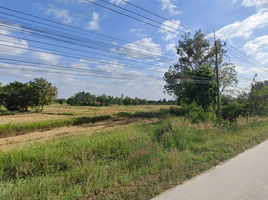  Land for sale in Khon Kaen, Nam Phong, Nam Phong, Khon Kaen