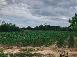  Grundstück zu verkaufen in Mae Rim, Chiang Mai, Khi Lek