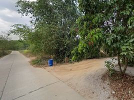  Grundstück zu verkaufen in Pluak Daeng, Rayong, Maenam Khu