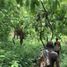  Land for sale in South Tongu Volta, South Tongu, Volta