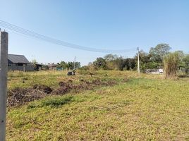  Land for sale in Thailand, San Pu Loei, Doi Saket, Chiang Mai, Thailand