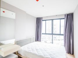 1 Bedroom Apartment for rent at Ideo O2, Bang Na, Bang Na