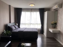 1 Bedroom Apartment for rent at Dcondo Campus Resort Bangna, Bang Bo, Bang Bo