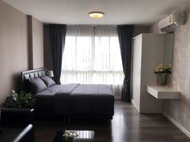 1 Schlafzimmer Wohnung zu vermieten im Dcondo Campus Resort Bangna, Bang Bo, Bang Bo