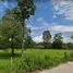  Land for sale in San Sai, Chiang Mai, Nong Han, San Sai