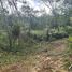  Land for sale in Phuket, Chalong, Phuket Town, Phuket