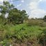  Land for sale in Lat Lum Kaeo, Pathum Thani, Rahaeng, Lat Lum Kaeo