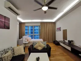 1 Bedroom Condo for rent at The Parkland Phetkasem Condominium, Bang Khae, Bang Khae, Bangkok